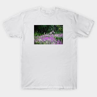 Moose / Swiss Artwork Photography T-Shirt